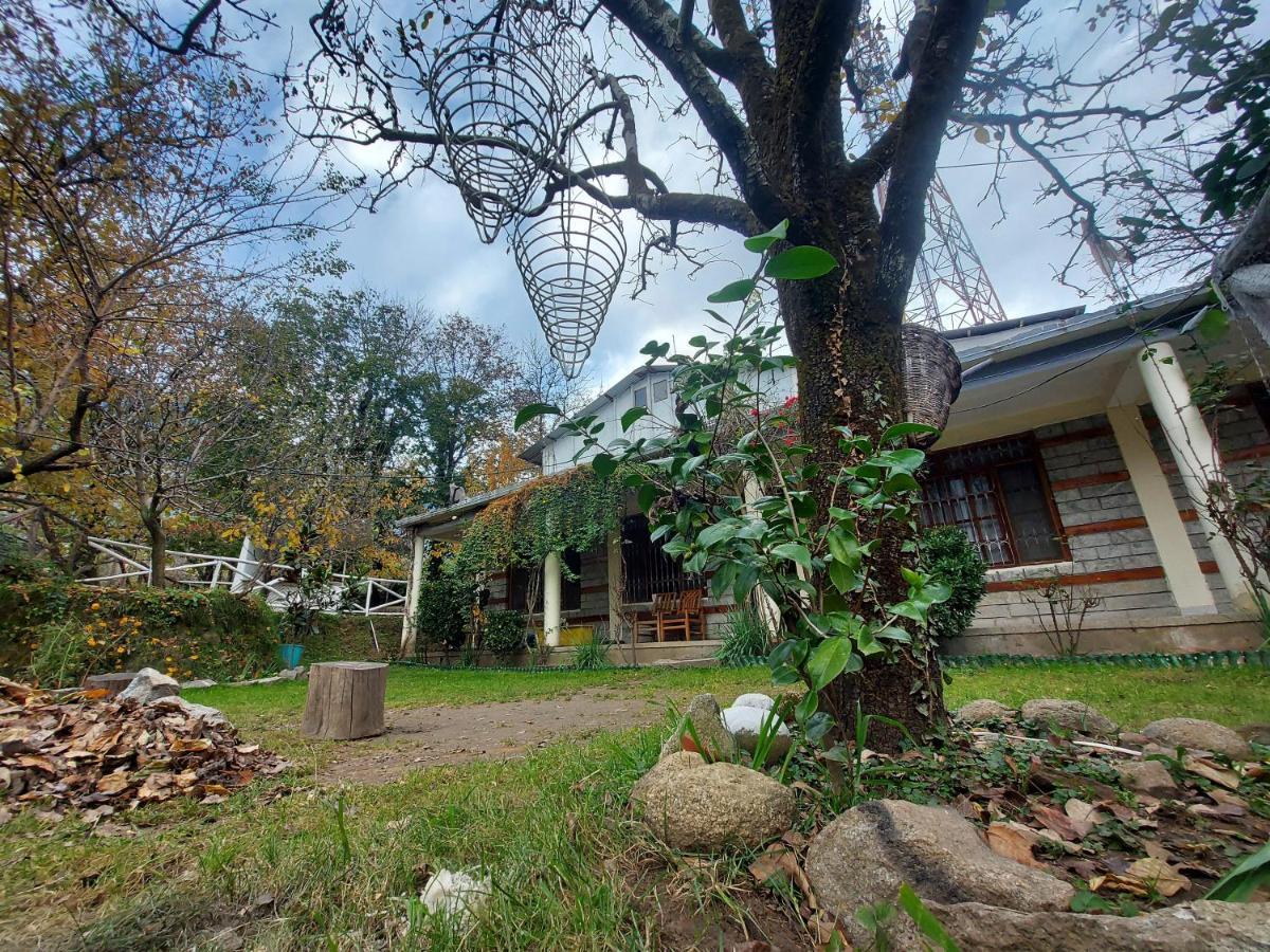 Mars Monkey Hostel & Cafe Manāli Exterior foto